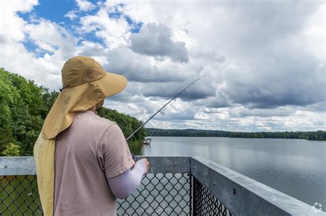 About Jacksonville | Schools, Demographics, Things to Do - Homes.com