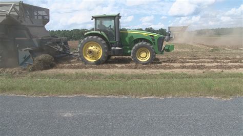 South Carolina Agriculture 的图像结果