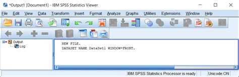 Image result for SPSS Output File