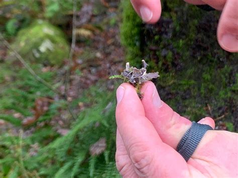 RAVEN QUEST (2025) All You Need to Know BEFORE You Go (with Photos ...