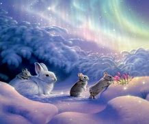 Image result for Spring Bunnies Desktop