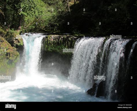 Spirit Falls at White Salmon River in WA Stock Photo - Alamy