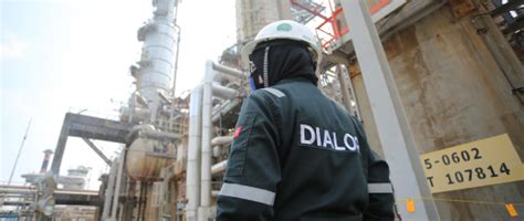 Image result for Dialog Group