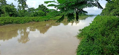 Aratrika Das | India Foundation for the Arts