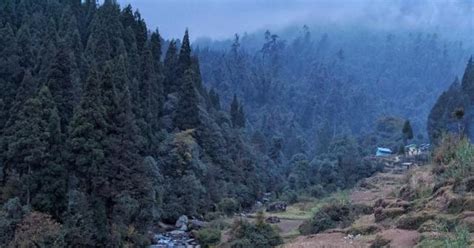Gorkhey Trek, Sikkim | WhatsHot Kolkata