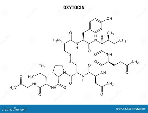 Structure Of Oxytocin