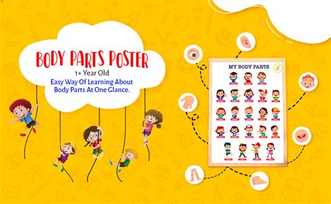Buy The Curious Bees English Alphabet Poster, Learning Poster for Kids ...