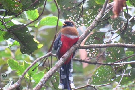 Cerro Banderas Ojo Blanco, un ecosistema conector de la biodiversidad ...