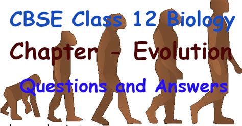 Image result for Chapter Evolution Class 12