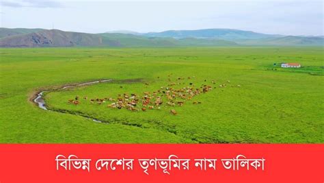 বিভিন্ন দেশের তৃণভূমির নাম তালিকা PDF | List of Grasslands - NetStudy.in
