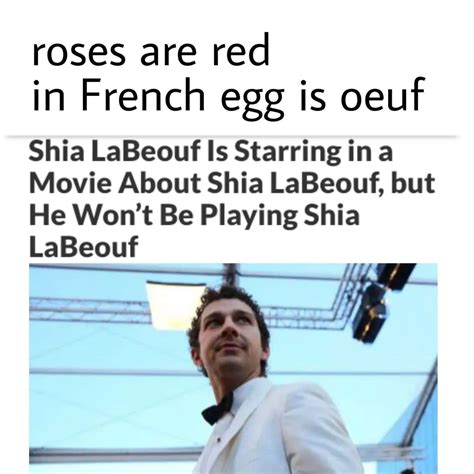 24 Wholesome Shia LaBeouf Memes To Brighten Your Day