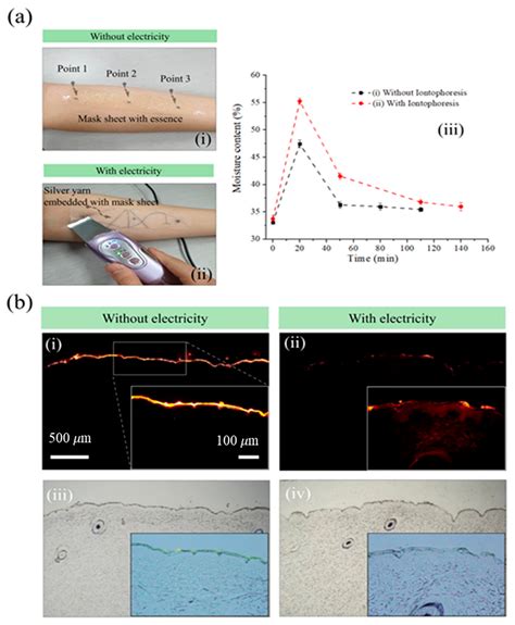 Portable Iontophoresis Device for Efficient Drug Delivery