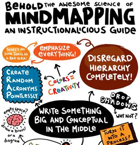 Brain Map Example 的图像结果