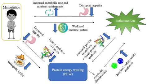Kidney and Dialysis | An Open Access Journal from MDPI