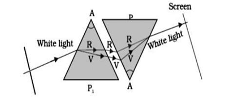 CBSE Class 10th Science 2023 : Important Diagrams For Last Minute Revision