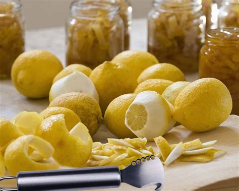 Ninja Peel Alnicov Two In One Multipurpose Lemon Peeler With Channel ...
