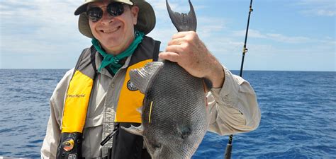 Image result for Catching Triggerfish
