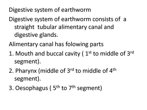 SOLUTION: DIGESTIVE SYSTEM (EARTHWORM) - Studypool