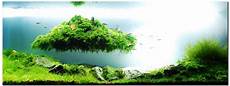 amano aquascape the of aquascaping joe blogs amano aquascape the of aquascaping joe blogs