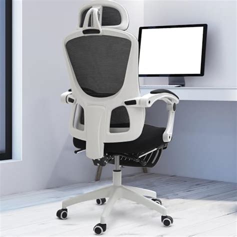 Frido AeroMesh Ergo Chair, Adjustable Armrests & Headrest, Lumbar ...