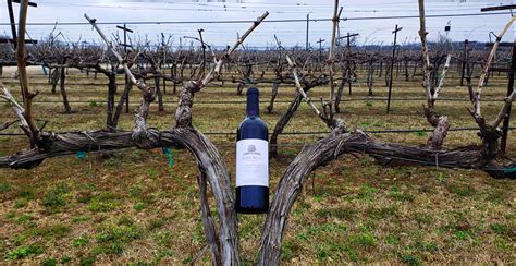 About - Eden Hill Vineyards and Winery - Celina, TX | Dallas, Tx