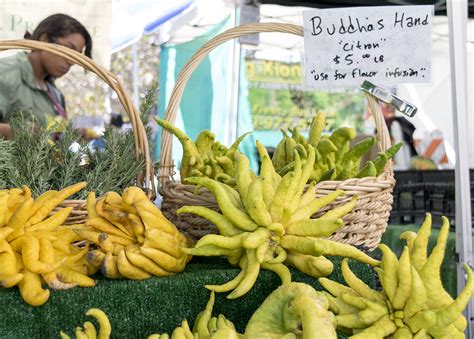 The pLAces you’ll go: Silver Lake Farmers Market - Daily Bruin