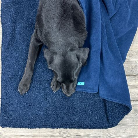 Bringing back the traditional dog basket...