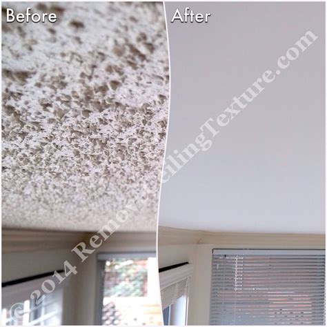 Textured Ceiling Removal 的图像结果