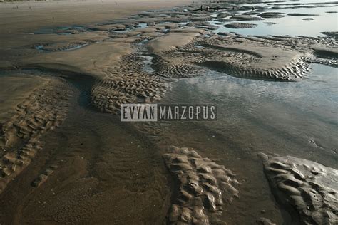 Alien Beach Drawing 的图像结果