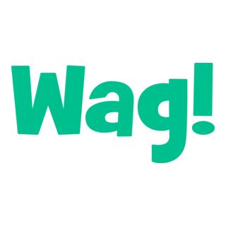 Image result for CSS Tutorial VSC
