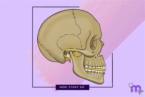 Diagnosis of TMJ Disorders – Medi Study Go