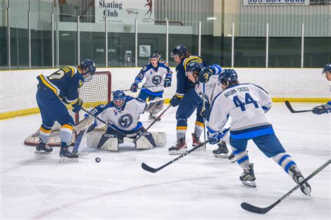 Sports: Two losses make for a tough weekend for Predators
