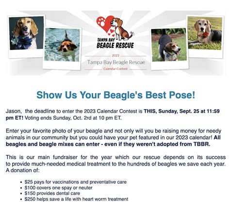 Image result for Go Go Contest