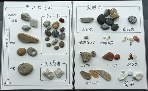 CCC Computer Course Syllabus 的图像结果