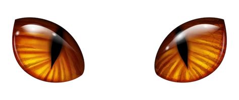 Coppercolored eyes Vectors - Download Free High-Quality Vectors from ...