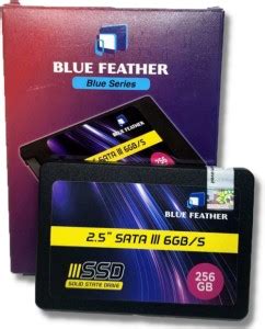 Blue Feather Blue 256 GB Surveillance Systems Black SATA Internal Solid ...