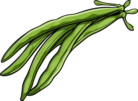 AI generated Green beans clipart design illustration 41453865 PNG