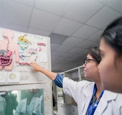 Departments | Ramaiah Medical College (RMC)