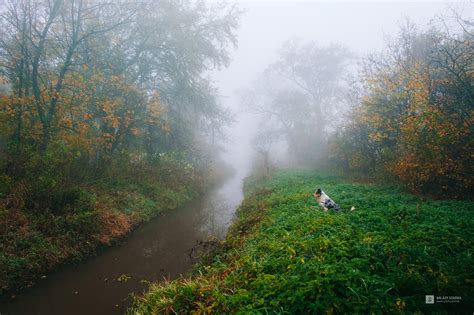 Adventure Landscape 的图像结果
