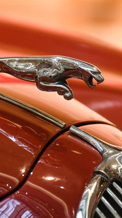 Jaguar: from iconic sports cars to ultra-luxury EVs with a new logo