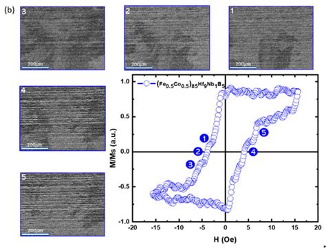 Effect of Substituting Hf for Zr on Fe-Co-M-Nb-B (M = Zr, Hf) Amorphous ...