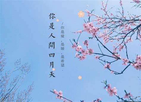 你是人间四月天 (完整版) by 张逸琛 on Amazon Music - Amazon.com