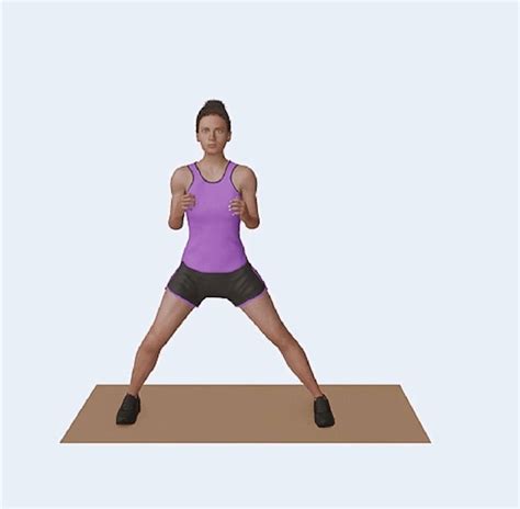 Exercise Animation 的图像结果