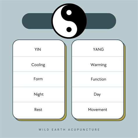 Yin and Yang — Wild Earth Acupuncture - Portland, Oregon