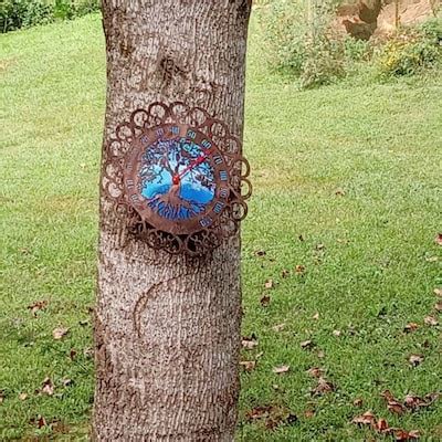 Image result for Hot Rod Switch Panel