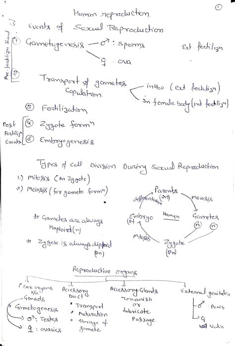 Class 12 Reproduction Videos 的图像结果