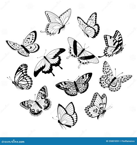 Butterflies Flying Together Drawing