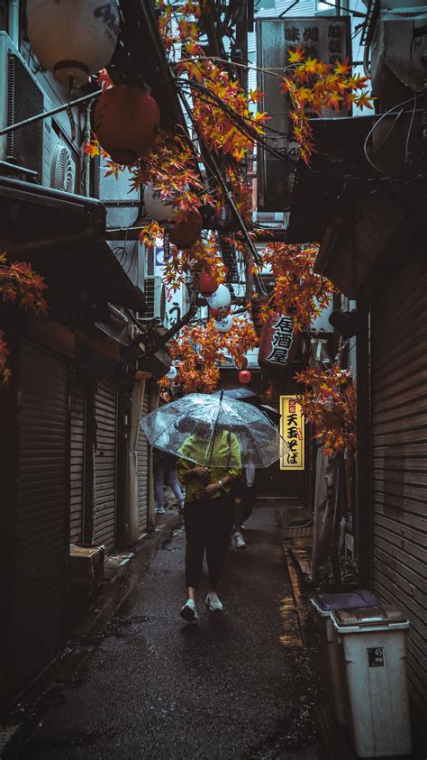 Local Images Download 的图像结果