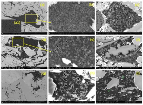 The Analysis of Bio-Precursor Organic Matter Compositions and Its ...