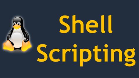 Bash Shell Scripting for Automation